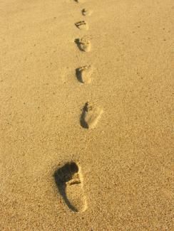Footprints in the sand of a beach
